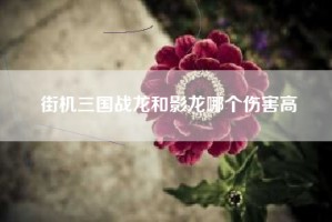 街机三国战龙和影龙哪个伤害高