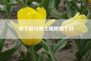 地下城与勇士鹰眼哪个好