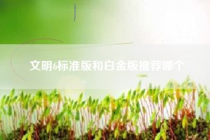 文明6标准版和白金版推荐哪个