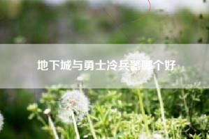 地下城与勇士冷兵器哪个好