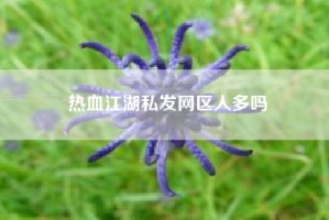 热血江湖私发网区人多吗