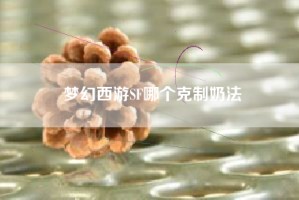 梦幻西游SF哪个克制奶法