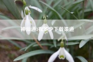 神仙道3有多少下载渠道