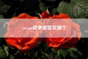 steam战争雷霆买哪个