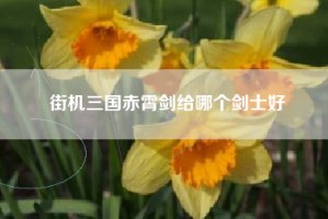 街机三国赤霄剑给哪个剑士好