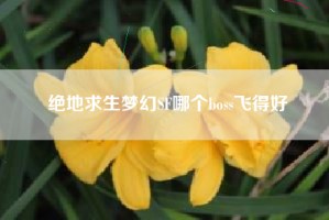 绝地求生梦幻SF哪个boss飞得好