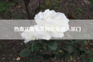 热血江湖私发网区能进入宗门