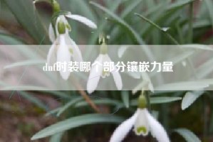 dnf时装哪个部分镶嵌力量