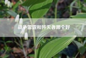 战争雷霆和歼灭者哪个好