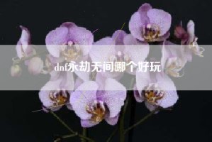 dnf永劫无间哪个好玩