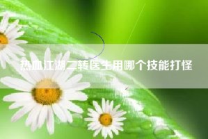 热血江湖二转医生用哪个技能打怪