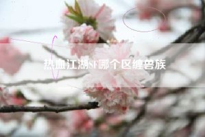 热血江湖SF哪个区缠兽族