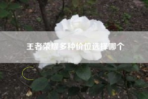 王者荣耀多种价位选择哪个