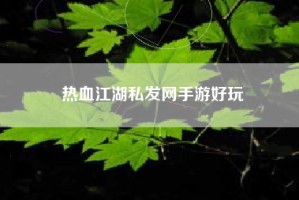 热血江湖私发网手游好玩