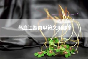 热血江湖内甲符文用哪个