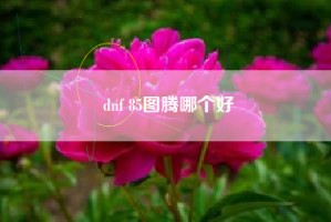 dnf 85图腾哪个好