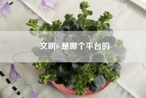 文明6 是哪个平台的