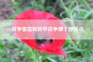 战争雷霆和装甲战争哪个好玩点