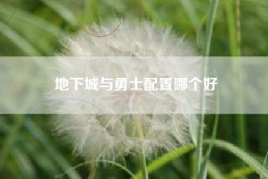 地下城与勇士配置哪个好