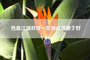 热血江湖双线一区和逍遥哪个好