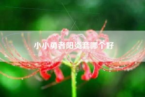 小小勇者阳炎套哪个好