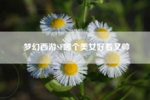 梦幻西游SF哪个美女好看又帅