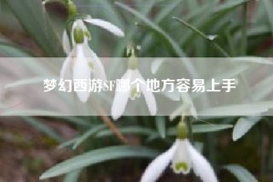 梦幻西游SF哪个地方容易上手