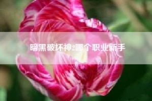 暗黑破坏神2哪个职业新手