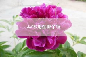 dnf冰龙在哪个区