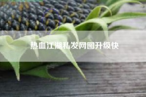 热血江湖私发网图升级快