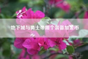 地下城与勇士带哪个装备加金币