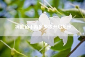 神仙道手游多少级开启龙珠