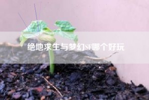 绝地求生与梦幻SF哪个好玩