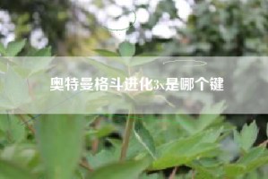 奥特曼格斗进化3x是哪个键