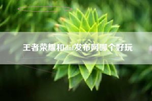 王者荣耀和dnf发布网哪个好玩