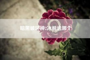 暗黑破坏神2冰箭选哪个