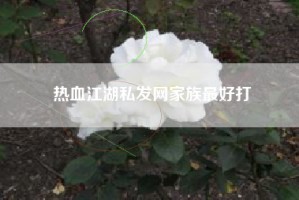 热血江湖私发网家族最好打