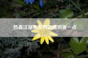 热血江湖私发网武器厉害一点