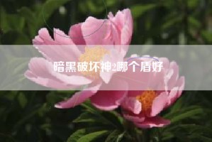 暗黑破坏神2哪个盾好