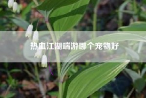 热血江湖端游哪个宠物好