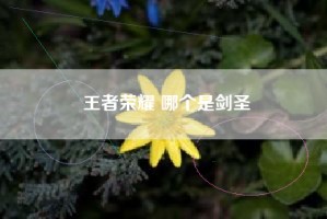 王者荣耀 哪个是剑圣