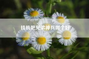 挂机吧兄弟神兵哪个好