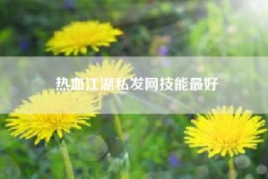 热血江湖私发网技能最好