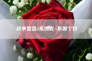 战争雷霆d系坦克 s系哪个好