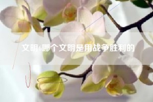 文明6哪个文明是用战争胜利的