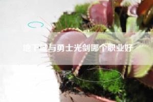 地下城与勇士光剑哪个职业好