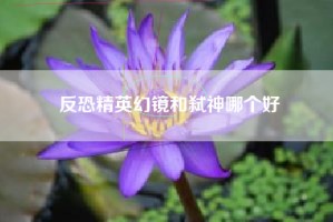 反恐精英幻镜和弑神哪个好