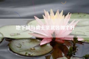 地下城与勇士圣武器哪个好