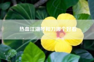 热血江湖琴和刀哪个好看