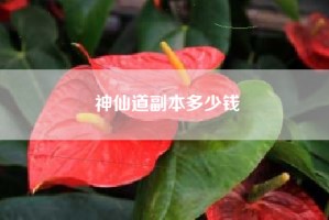 神仙道副本多少钱